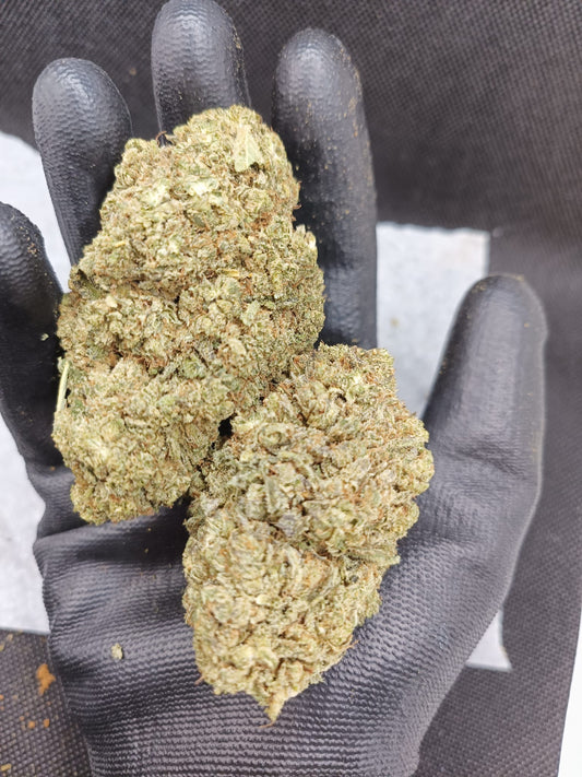 The CBD Star - White Melon